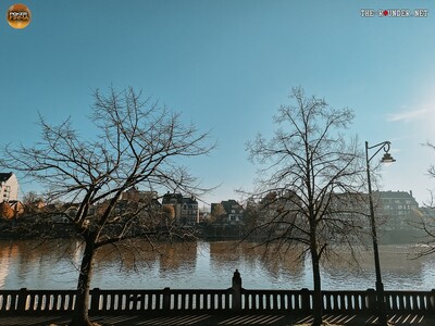 20241129-20241129_111055